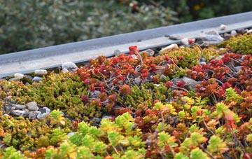 the cost of Chalgrove green roof installation